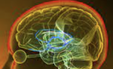 ecalixto's tweet photo. EL AMOR ES NECESARIO PARA LA SALUD. 
Fortalece la función inmunológica y cardiovascular.  
Fortifica la construcción de la personalidad y autoestima. 
Favorece la adaptación social. 
#NeuroTuit https://t.co/8JZjG4nMKf