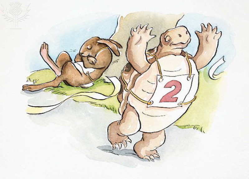 apmitchell's tweet image. The tortoise won the race not the hare. Just like the tortoise fashion doesn't need to be fast.

Join me in #eliminating #fastfashion from your consumption!

Do you want to be a better #guardian of #planetearth?

#B329LeadershipChallenge #TheGuardiansoftheEarth