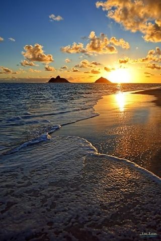 Enjoy a lovely &amp; peaceful moments today 
Good night everyone 💫 
Thanks you friends