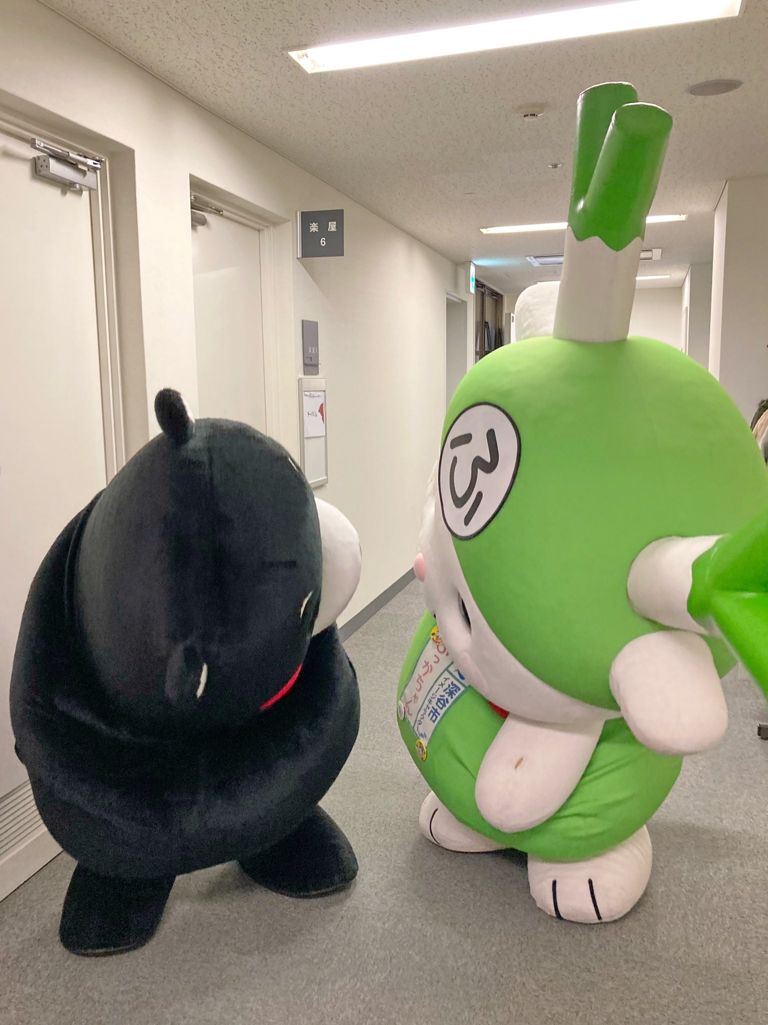 ふっかちゃん おはよ 2月16日は 天気図記念日 18年に日本初の天気図ができたらしいよぉ くまモンパイセ ン いつか天気図の記号に ふ ができたりしない な んてねぇ Y O0w0o Yにゃは 週の真ん中すいようびもよろしくおねぎしまぁす Y