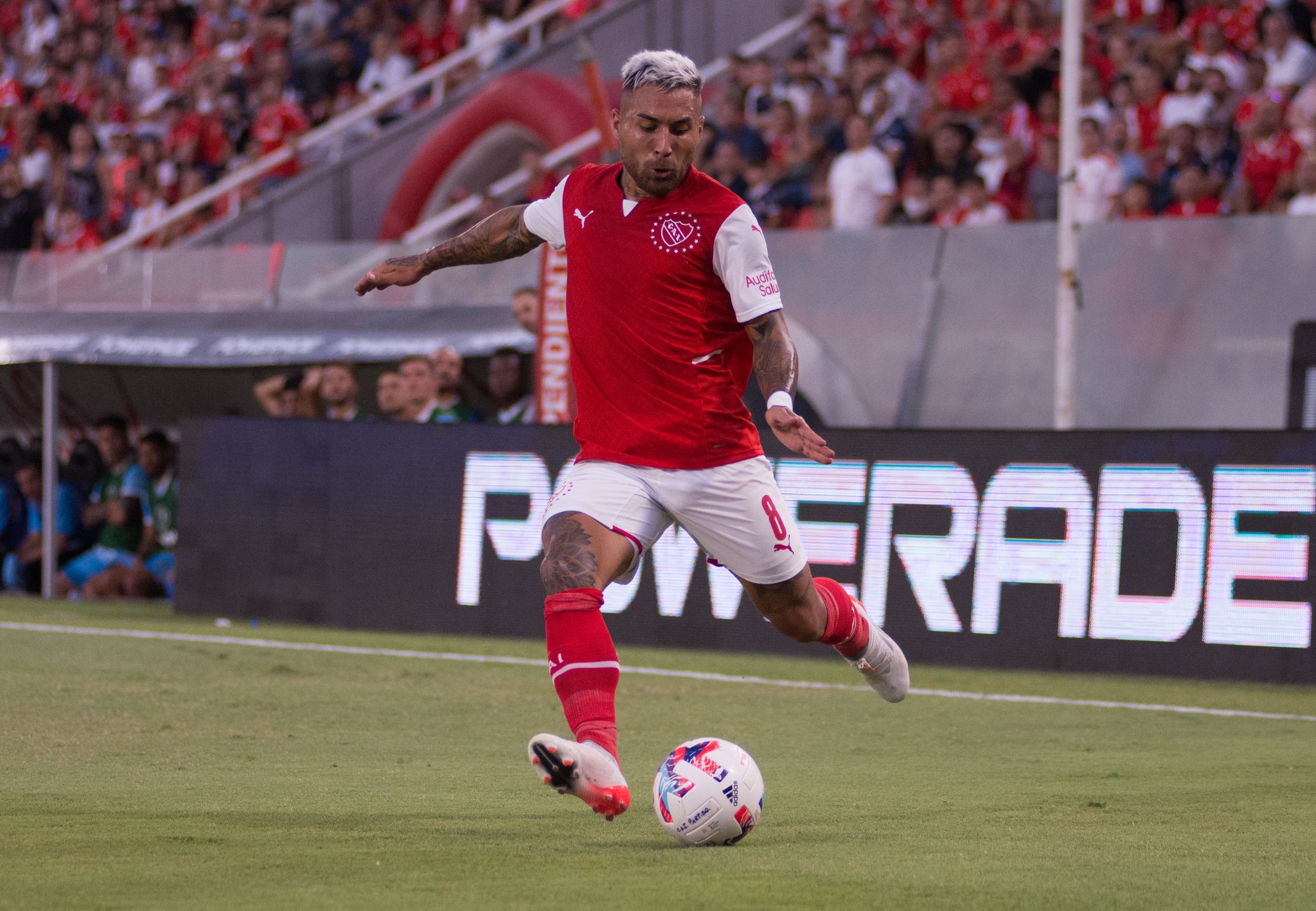 Follow Damian Batallini's (@damianbatallini) latest Tweets / Twitter
