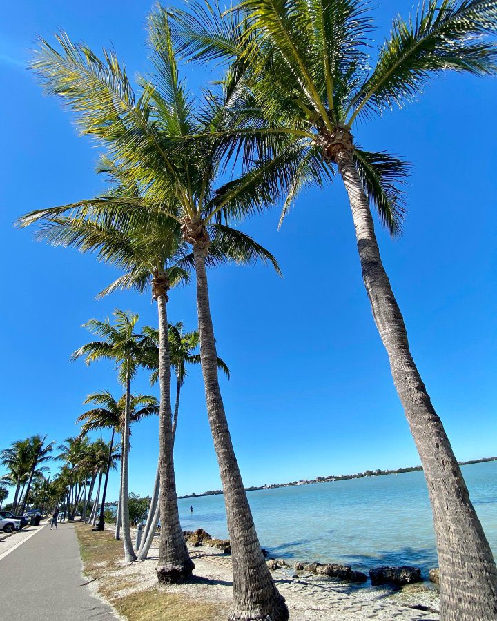 Explojr's tweet image. 