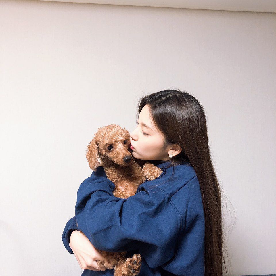 sparklyjournal's tweet photo. #𝒩ever𝐸ver𝒾𝓈𝐻ere and ur blue baby aka me! ♡ with my lil puppy nos unimos a la pachanga de este #MAD7_COMEBACK como los fans #1 de estos bebés. We're so ready to mover nuestras pawcitas hasta el cansancio and say let's go up, up Love! 🤟🏻
𝙱𝙸𝙱𝙸's 𝑚𝑜𝑚 ♡! #𝔸IXA https://t.co/1SoW7eU7Yl