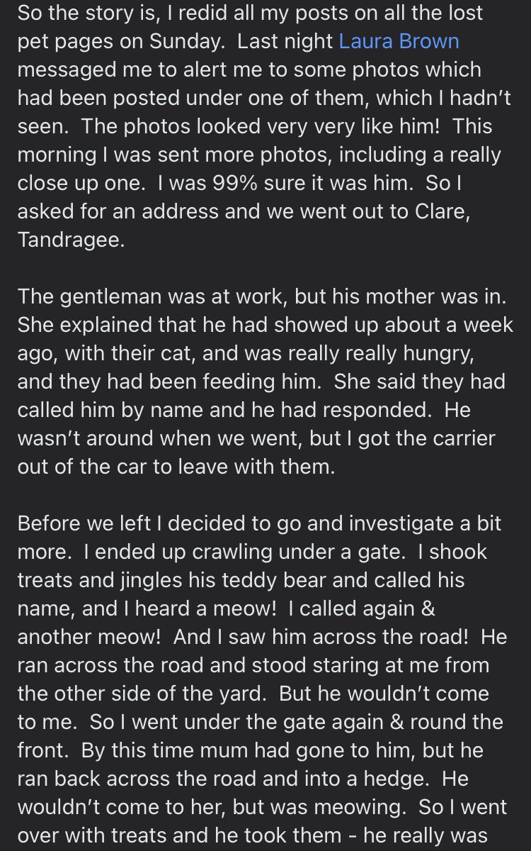 RGE_McC's tweet photo. @Robin_Askwith @DameVincentSue @SueHolderness @SusanCalman @JudeRiordan @paddygrant @paulsinha @RobTemple101 @JaneFallon @TheKJA @nicola_wheeler @sammeegiles @bhaskerpatel @BlytonDow Thanks for your assistance in the #FindMiles campaign.Delighted to say HE’S HOME! ❤️❤️ #MilesArmy https://t.co/RH0kfbJDvf