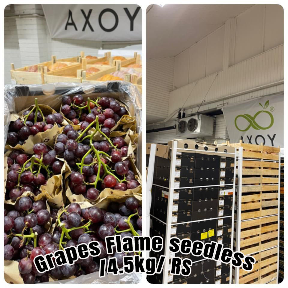 AxoyFresh's tweet photo. Fresh amazing Product #axoy_daily_fresh

@Fruits_Veggies @ImportExportCtr @FordsProduce @KingFreshProduc https://t.co/s05sYOm3ub