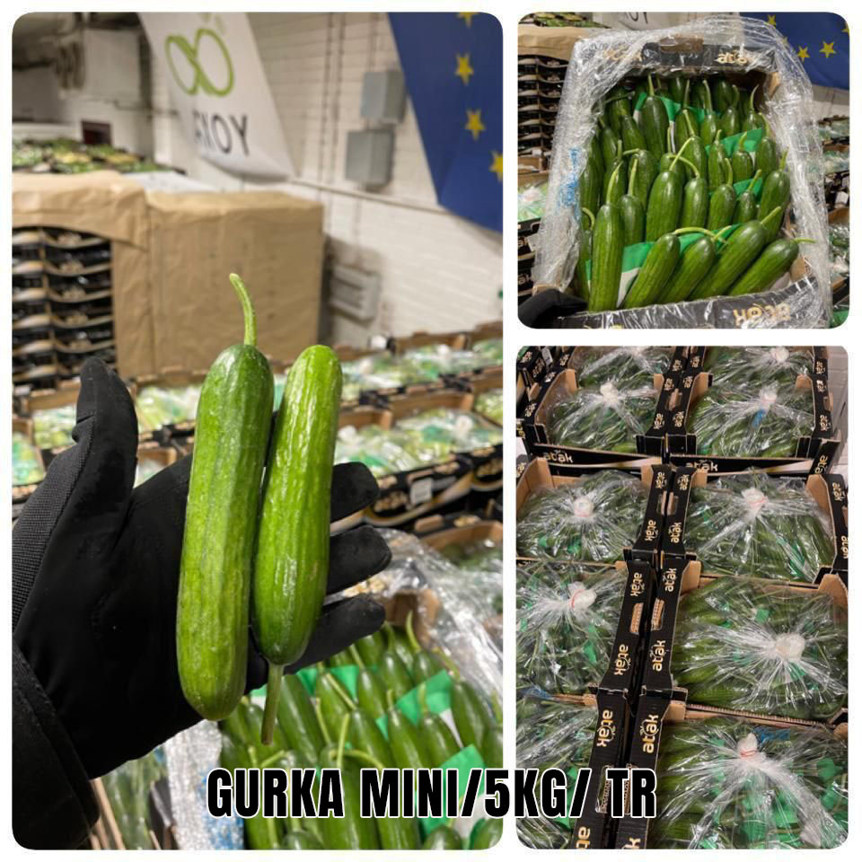 AxoyFresh's tweet photo. Special #Turkish Arrivals👌

#fruits #peppers #cucumber #tasty https://t.co/ImJ5Bx4Knk