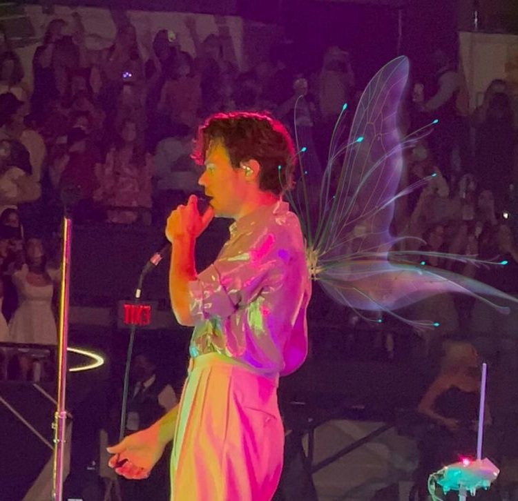 Elle_TommoWay's tweet image. Harry con alitas me da mucha ternura 
I vote #Harries for #BestFanArmy #iHeartAwards