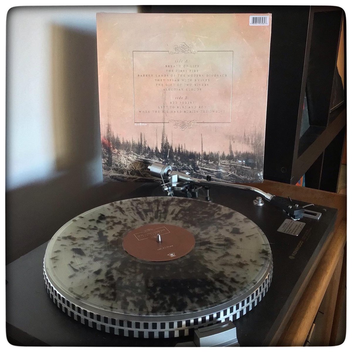 RiffHaven's tweet photo. Breath of Life/The First Fire by #IfTheseTreesCouldTalk from Red Forest as featured on Riff Häven Episode 263
#RiffHaven #vinyloftheday #albumoftheday #RecordoftheDay #VinylRecords #Vinyl #Postrock #MetalBladeRecords https://t.co/LRyztIXwBO