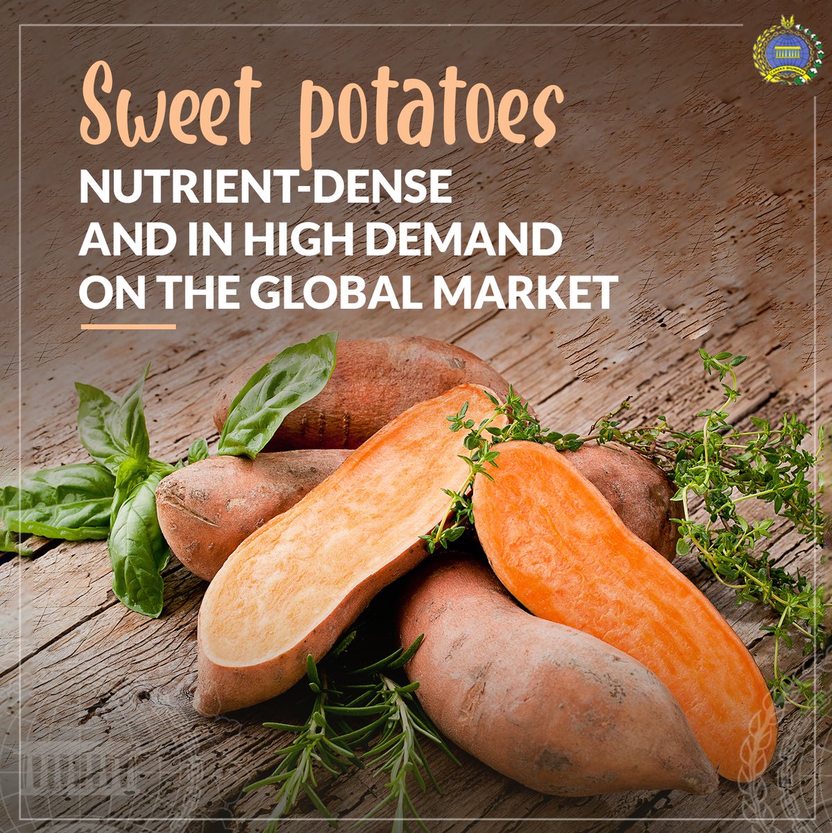 kbrisingapura's tweet photo. Sweet potatoes, nutrient-dense and in high demand on the global market
.
#IniDiplomasi #RintisKemajuan #IndonesianWay #kbrisingapura https://t.co/FHlcq9uaLq