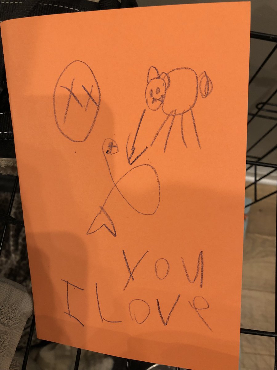 Human sister made me a Valentine. Mom says her drawing of me is spot on. 😬