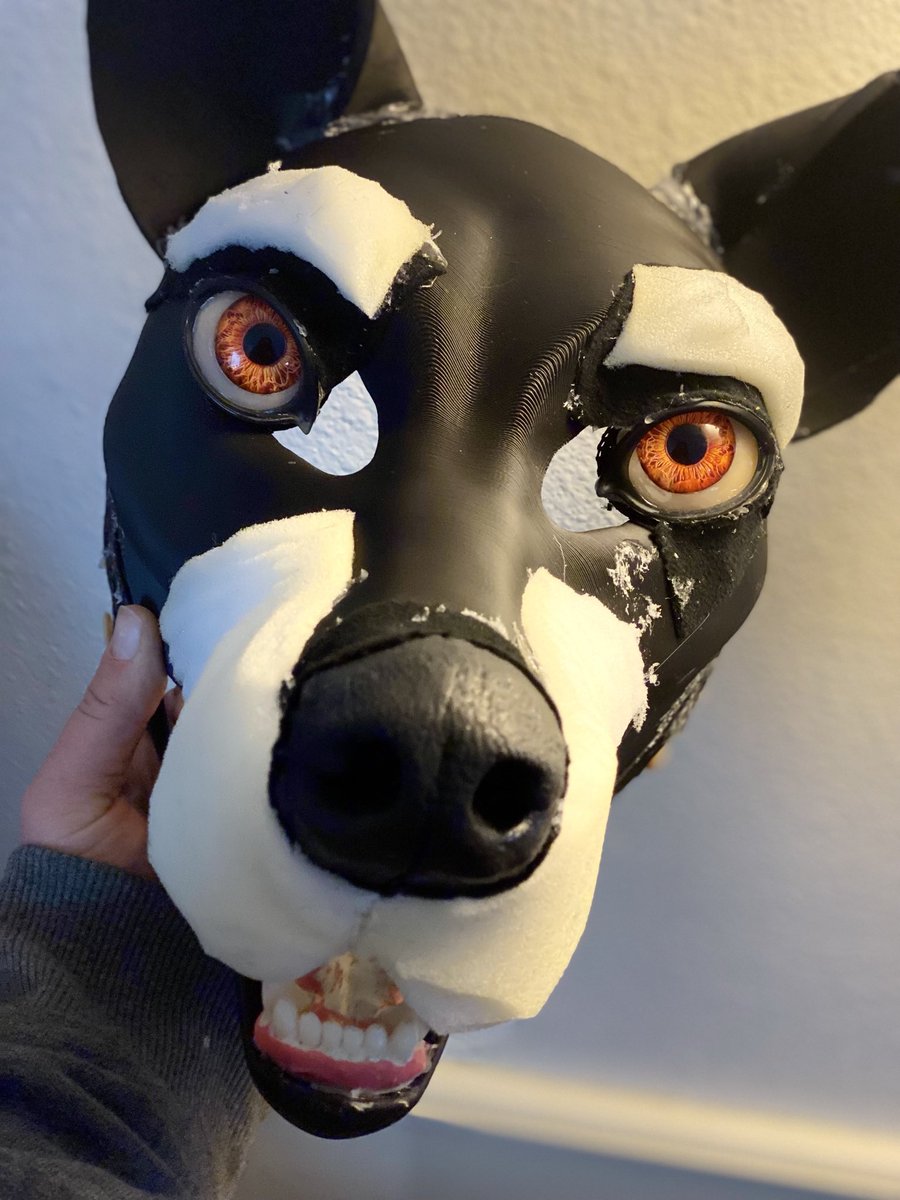 CaribouTaiga's tweet photo. Earl grey wolfhound progress pics! https://t.co/Fi4CNPVgwP