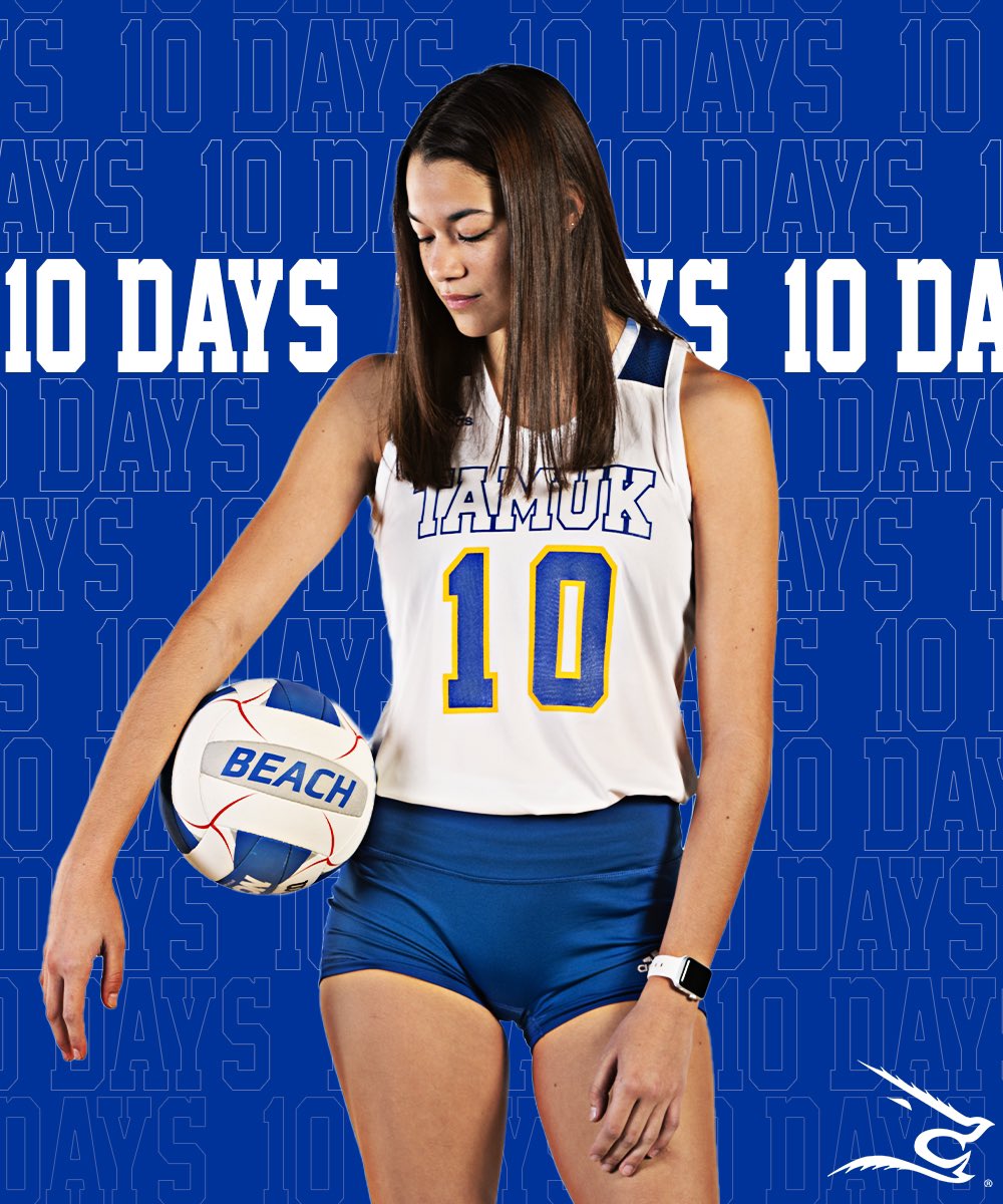Javelina Beach VB tweet media