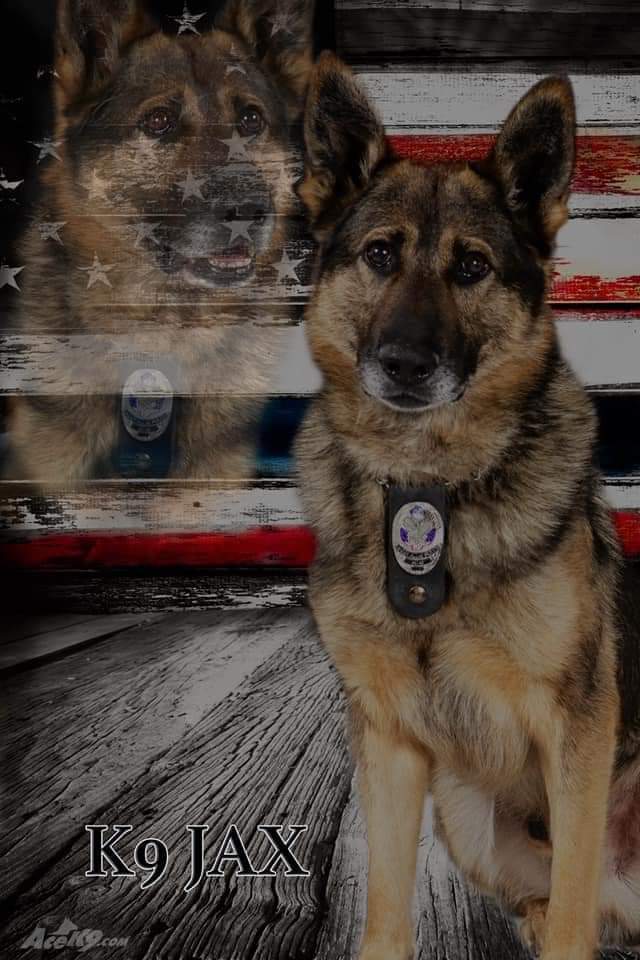 Deepest condolences to @WestAllisPD and Cpl. Cerqua on the loss of retired #K9 Jax today. Jax and Vader trained together for years. No doubt a difficult day for all. #RestInPeace Jax, thank you for your service to your community. @BrownDeerWIPD