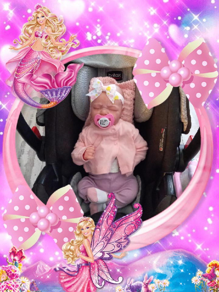 Nikki Freese (@laurenfreese5) on Twitter photo 