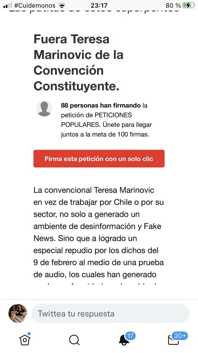 Tere Marinovic Vial tweet media