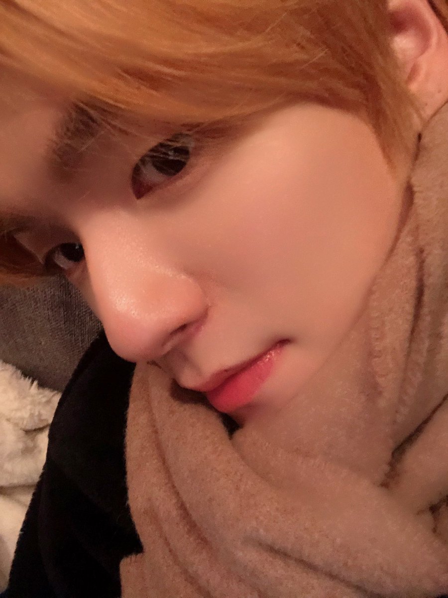 muwishthinker's tweet photo. my warm little cinnamon roll bun https://t.co/kMjxfg9tMo