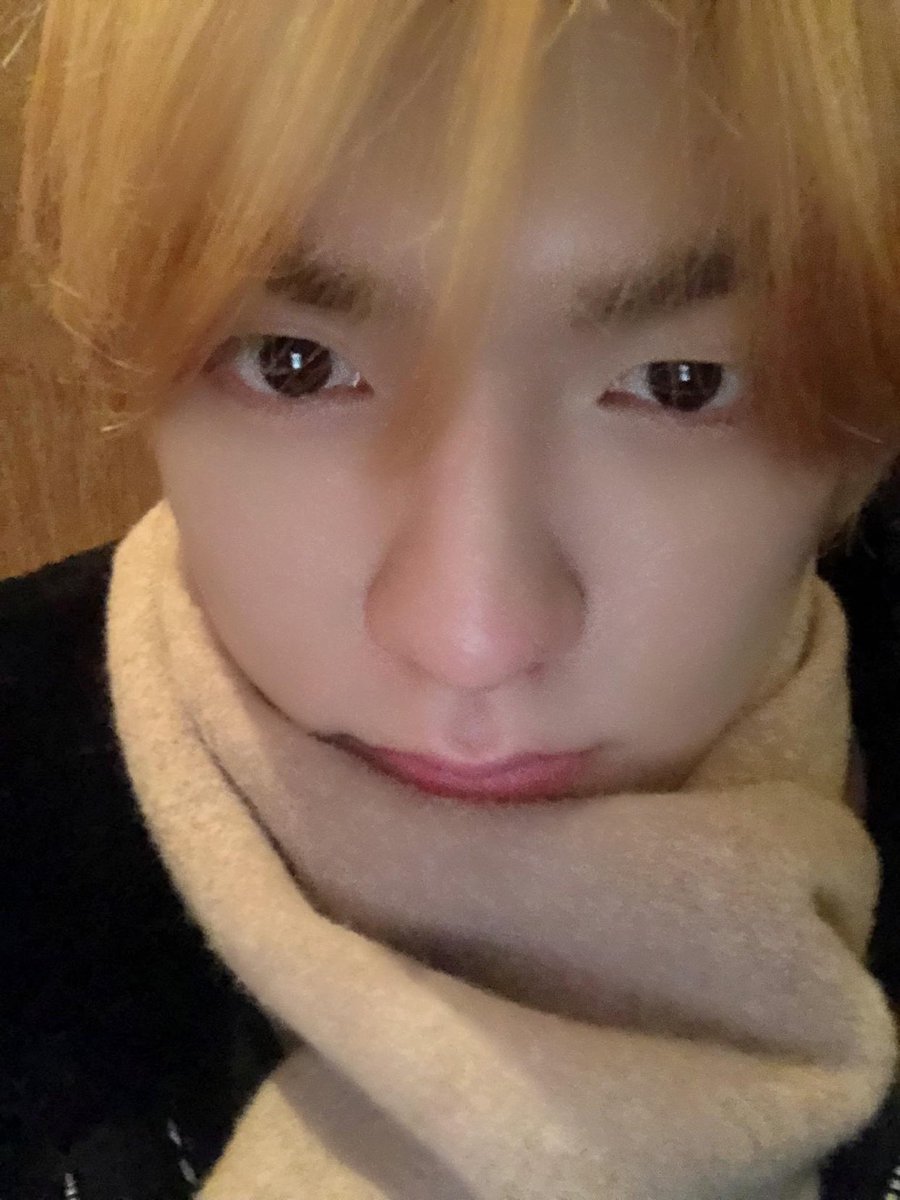 muwishthinker's tweet photo. my warm little cinnamon roll bun https://t.co/kMjxfg9tMo
