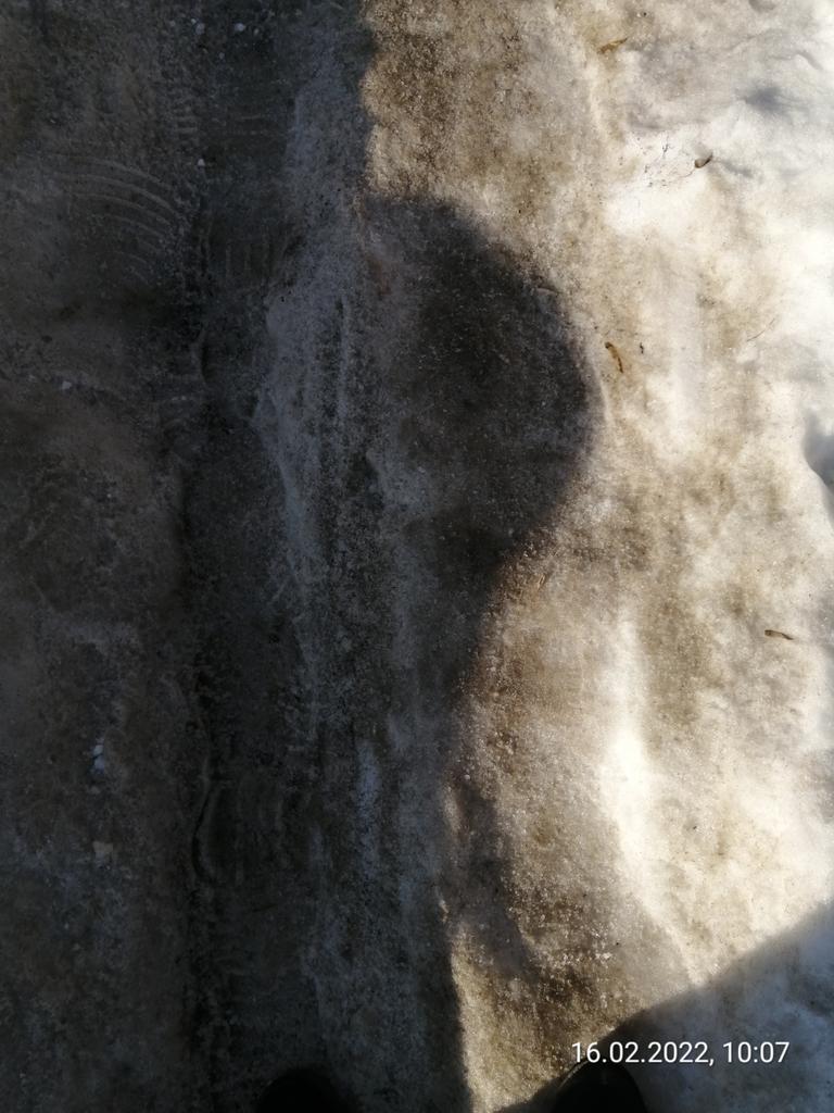 Сергей 🏗️ tweet media