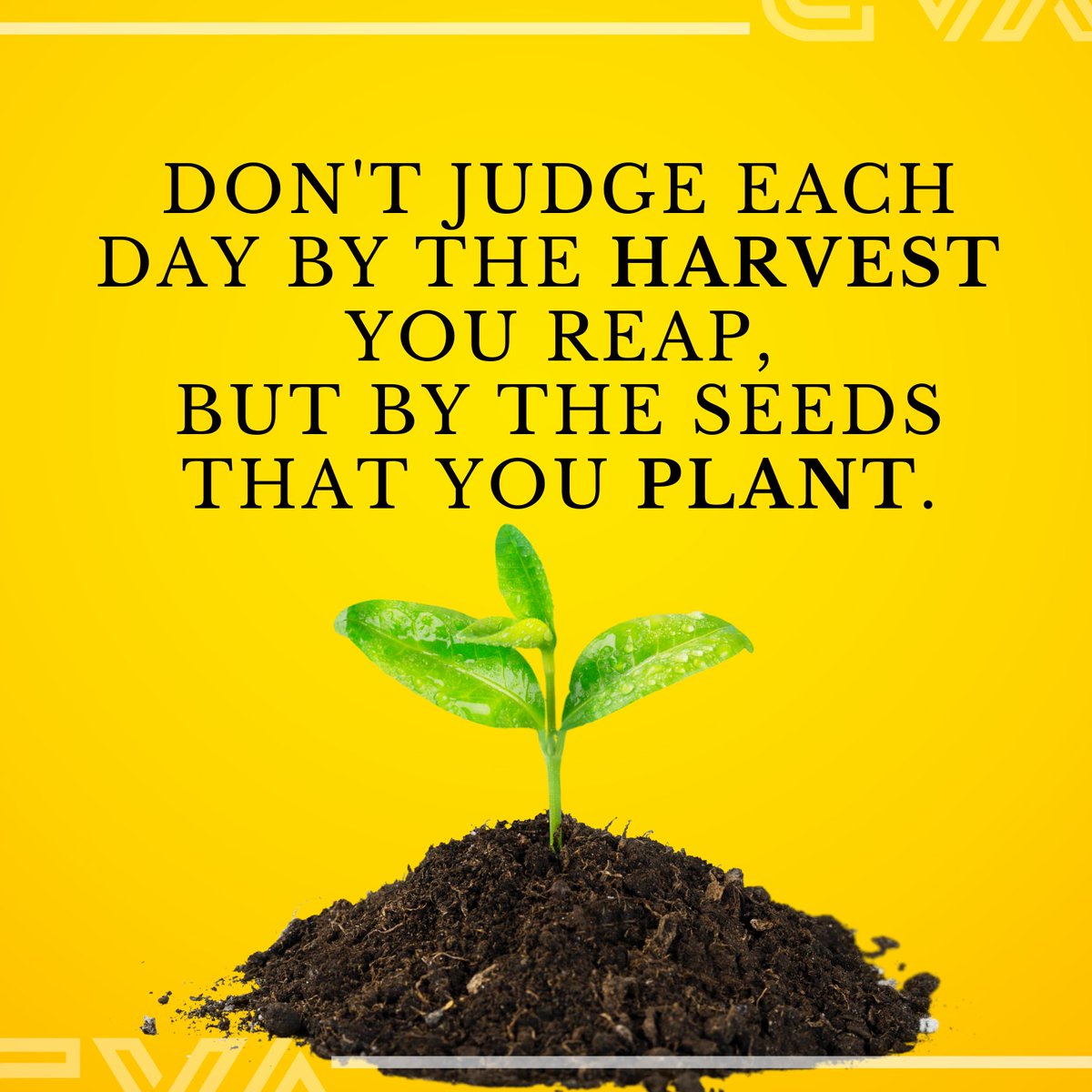 crackerjacksva's tweet image. “DON&apos;T JUDGE EACH DAY BY 
THE HARVEST 
YOU REAP,
BUT BY THE SEEDS
THAT YOU PLANT.”🌱

#wednesday_quotes #Bookkeepingwork #meme #jokes #BookkeepingTips 

facebook.com/CrackerjacksVi… 

linkedin.com/in/crackerjack…