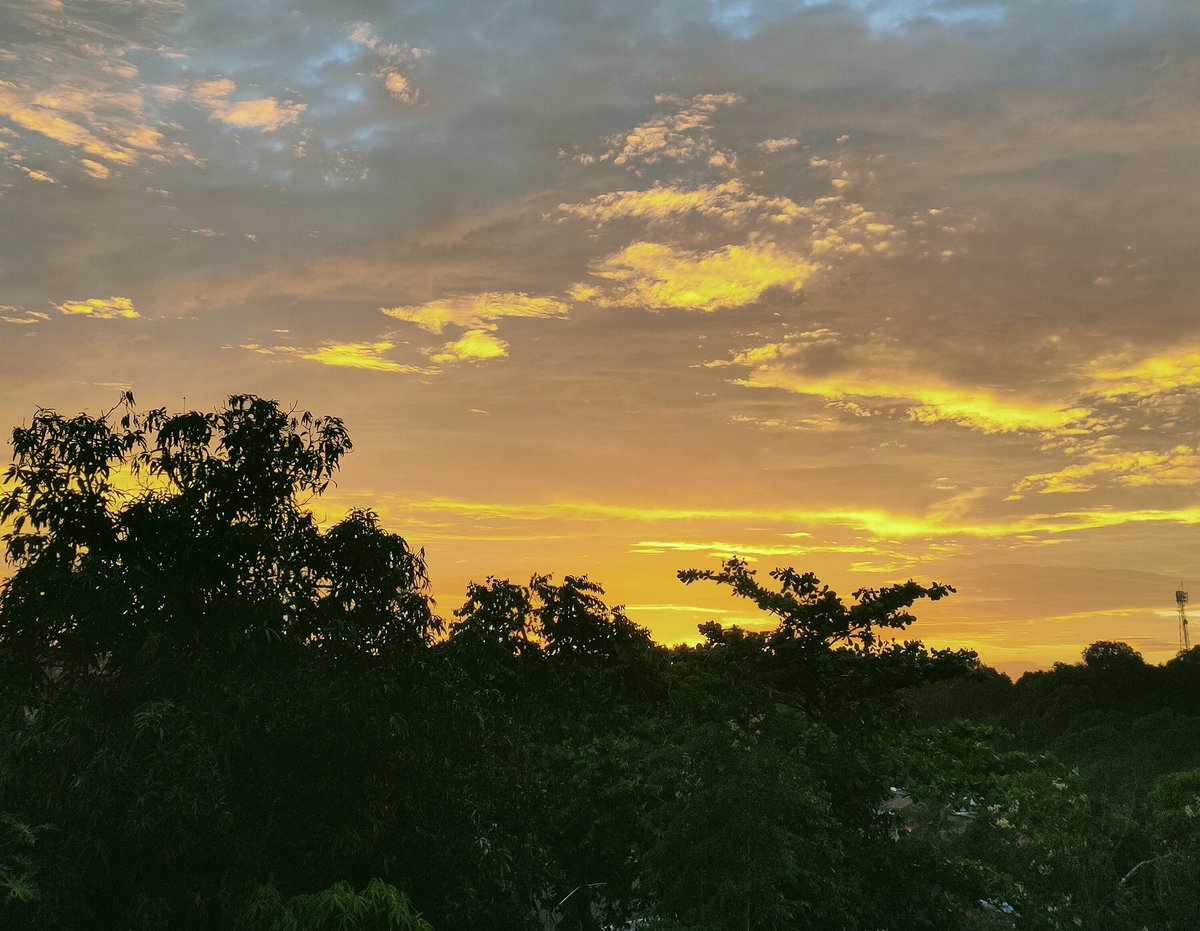 This is the sight i want but not so soon