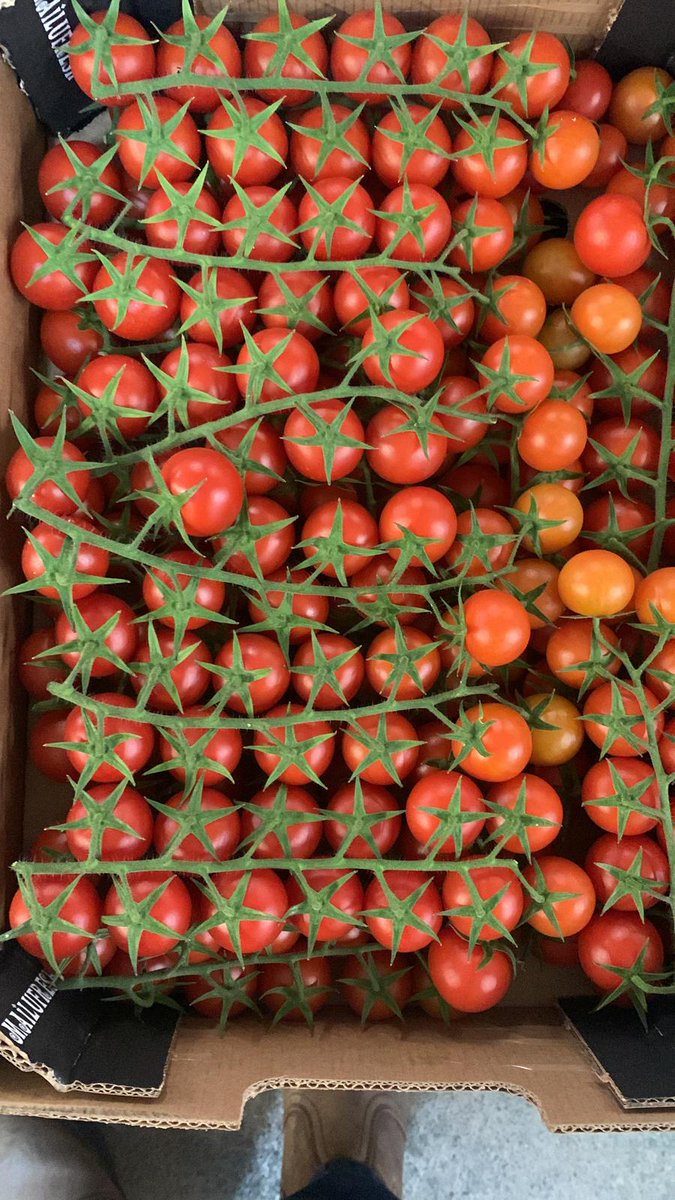 NaturaFirst's tweet photo. Heritage Mix Toms🍅, Cherry Vine 🍅and Green Chillies ✅ready to be ordered🗒️! Give us a call 📞and enjoy 😋our lovely and delicious products🤩!  #NicolasGarden #Chillicious #Cherrylicious https://t.co/7FngeMjsHk