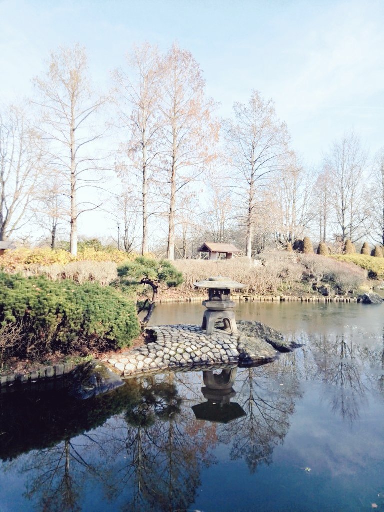 dreamless93's tweet photo. #aboutsunday
Im japanischen Garten Bonn!
#meinnrw #deinnrw https://t.co/DJgebTOHCM