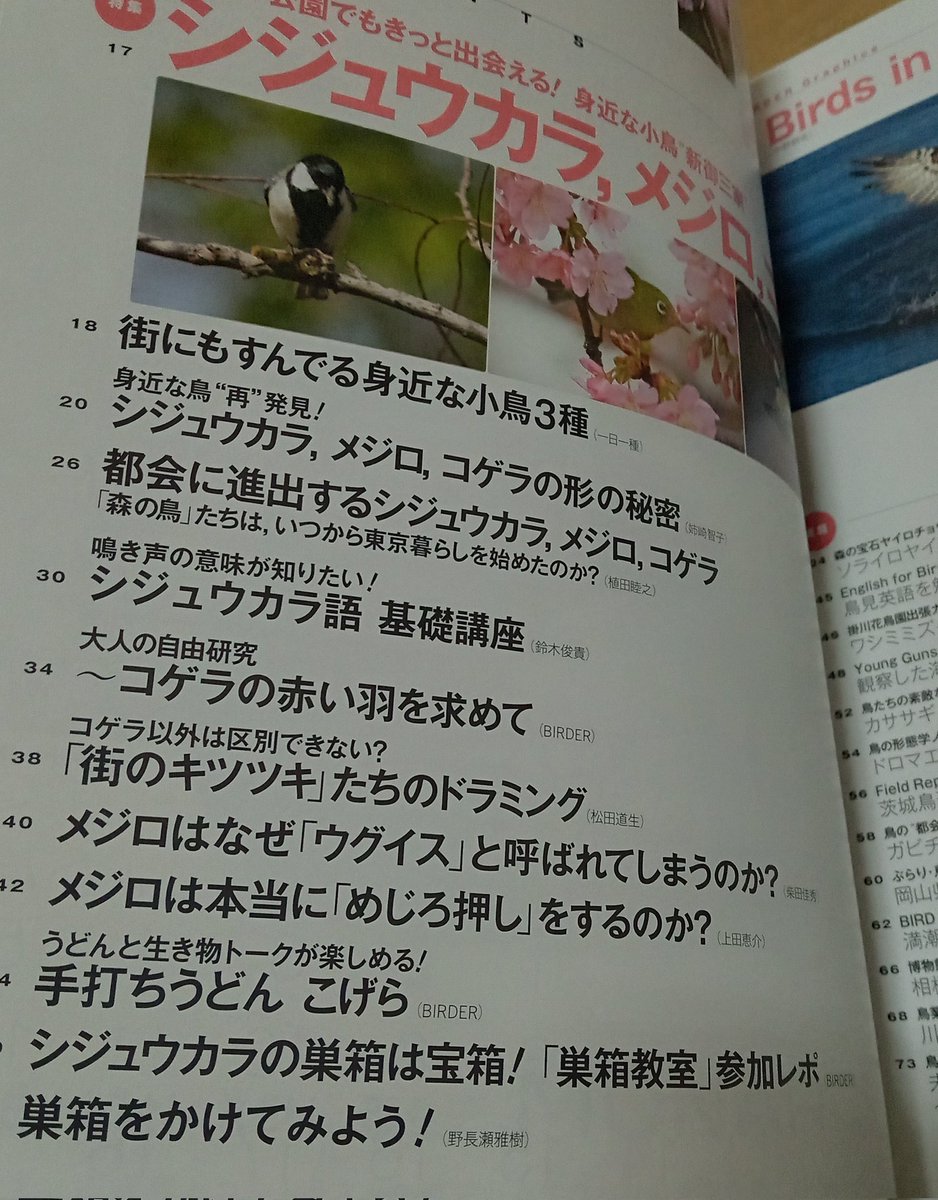 手打うどん 長谷沼 Udonhasenuma Twitter