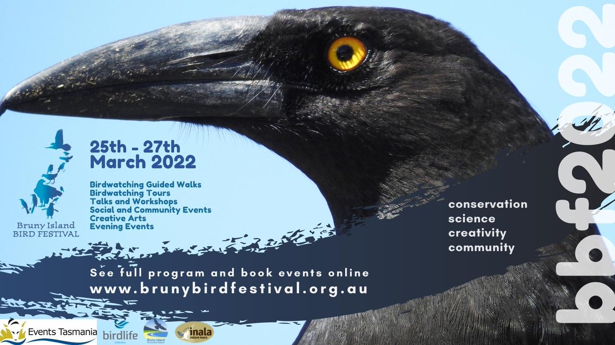 Bruny Island Bird Festival tweet media