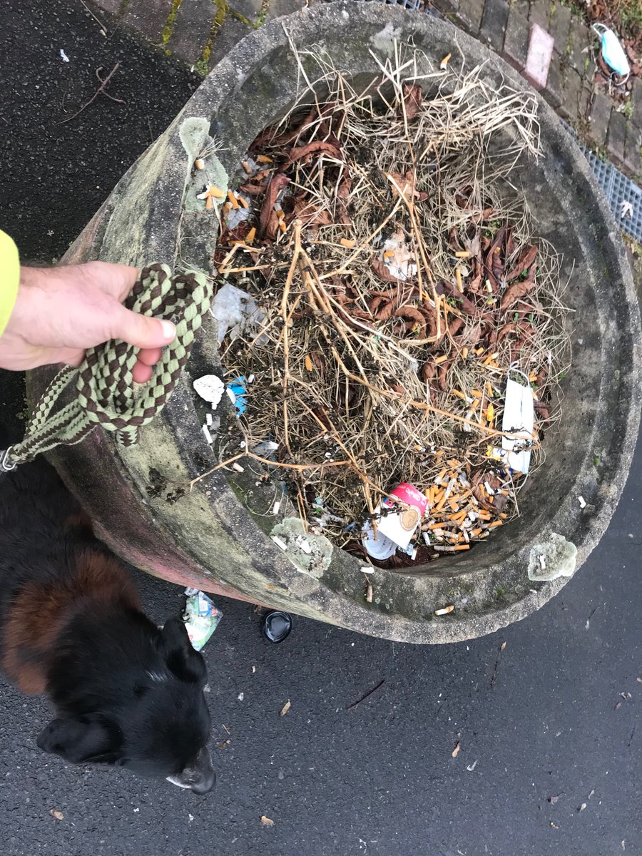 Anstatt Lücken füllen von der  FÜLLE der Erfahrungen als Entwicklungsschritte ausgehen.   Es ist eine Frage des Standpunktes/ Blickwinkels, was produktiv ist.

Ist es produktiv, Müll zu sammeln und dabei im mich zu gehen? Was braucht Mensch? Subsistence subsistere lat. = bestehen