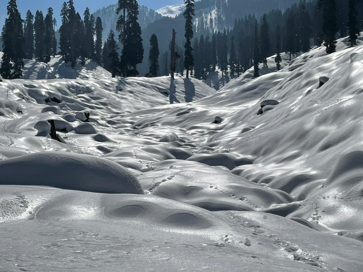 Kulgamuk's tweet photo. Mesmerizing, Breathtaking &amp; picturesque view of Badi Bahek Kulgam a hidden valley with snow-capped mountains surrounded by pine trees.
@DrBilalbhatIAS
#ExploreKulgam
#NaturePhotography 
#BadiBahek
#Kulgam
#WinterCarnivalKulgam https://t.co/C0zHuJ5fPr