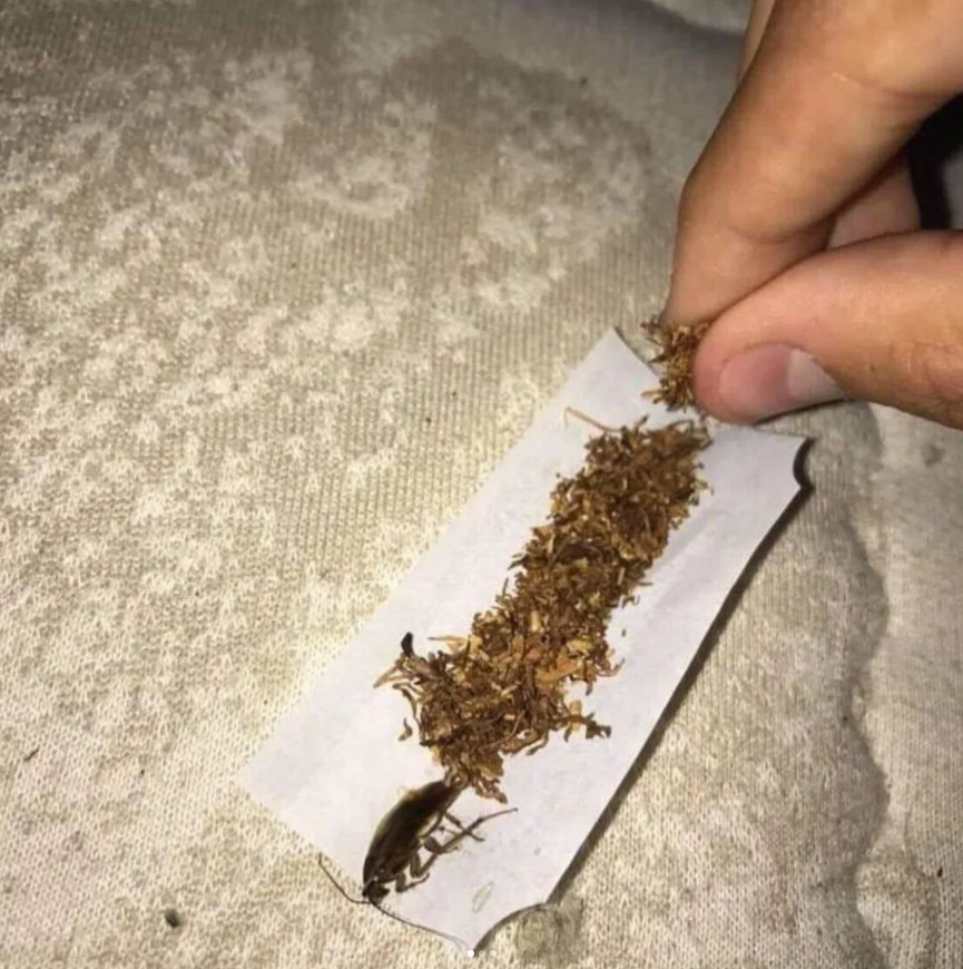 quien tenga miedo a morir que no nazca, buenos días