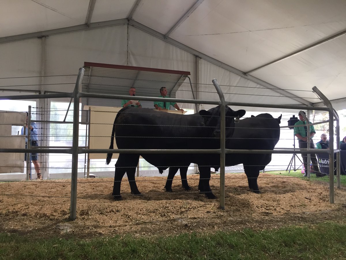 Catherine Miller tweet media