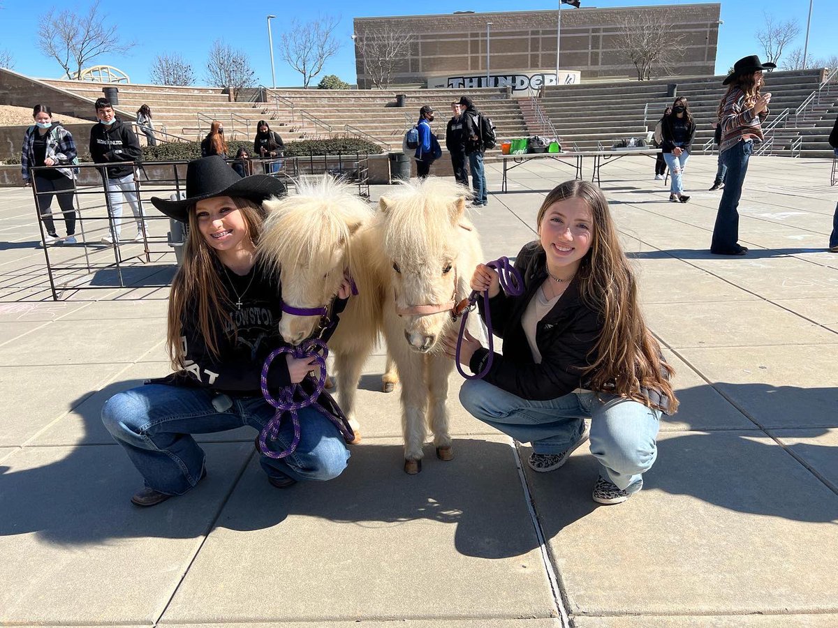Buhach Colony FFA tweet media