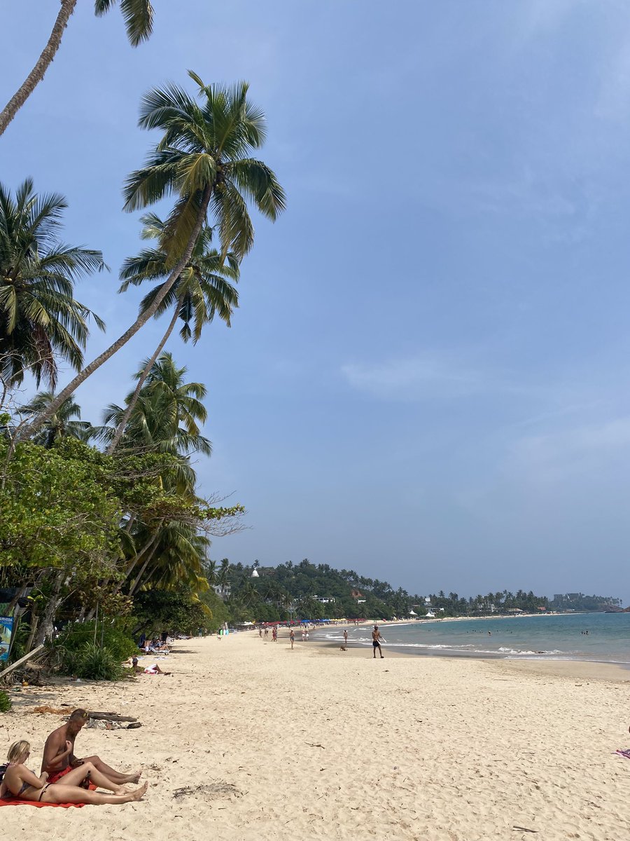 Ivan Starzev tweet media