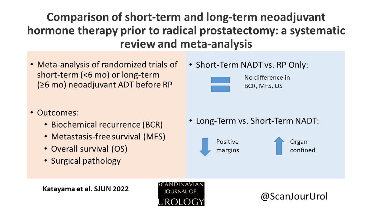 ScanJourUrol's tweet photo. Comparison of short-term and long-term neoadjuvant hormone therapy prior to radical prostatectomy: a systematic review and meta-analysis. Full-text available here: https://t.co/k78SgPbXsJ by @satoshiKata18 et al @Uro_MedUniWien https://t.co/4ATSoplK11