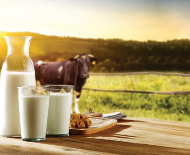 InnovationIntel's tweet photo. @BestonGlobal (Beston Foods) is leveraging its expertise across the chemistry of milk to create health products with a growing demand for a local and global marketplace.

Read outstanding articles by @BestonGlobal and Founder Roger Sexton here:
https://t.co/vIzewuClvI https://t.co/0xVxxW6g4t