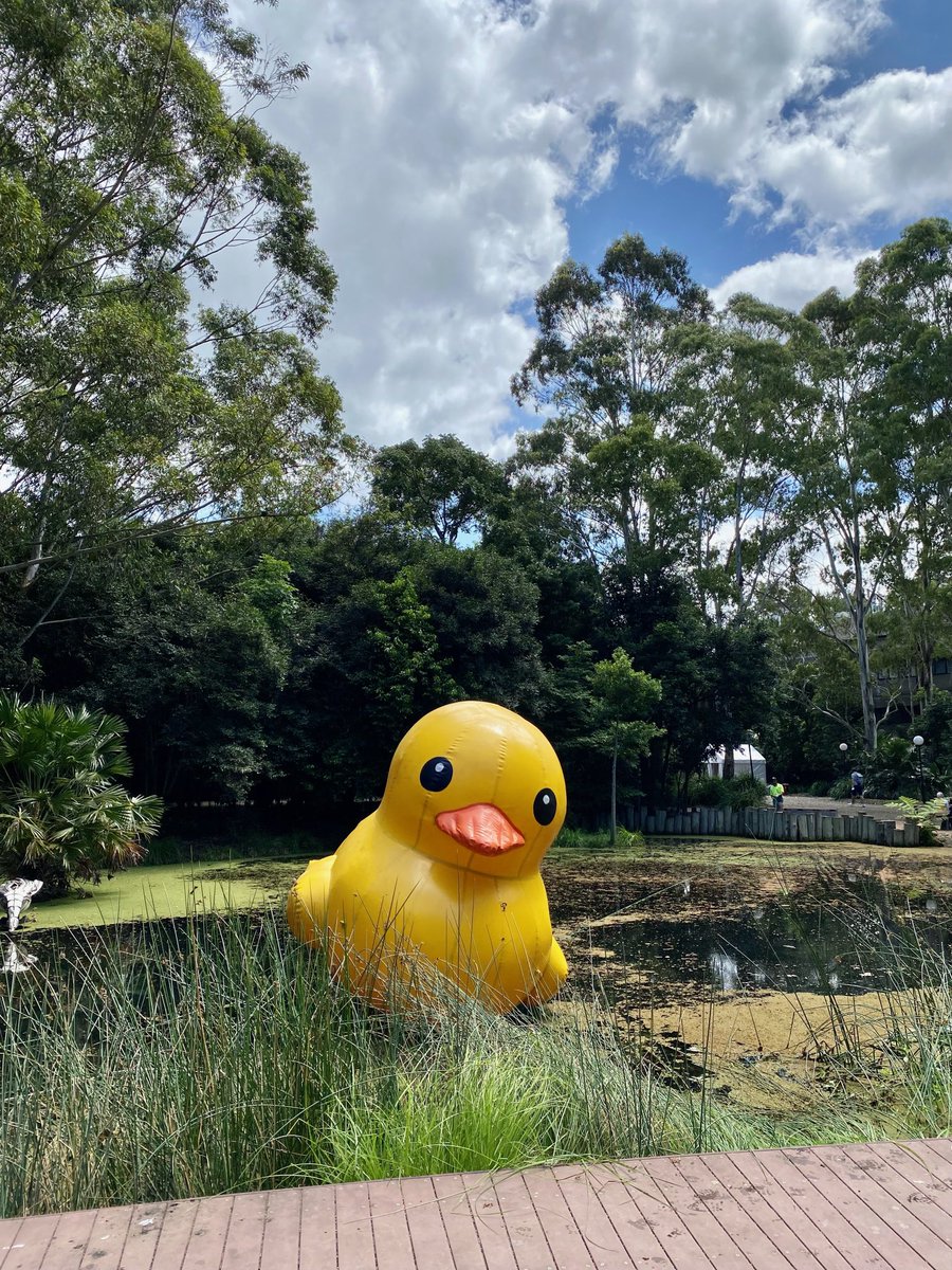 Spotted on <a href="/UOW/">UOW</a> :#Wollongong campus. Gearing up for #CampusFest