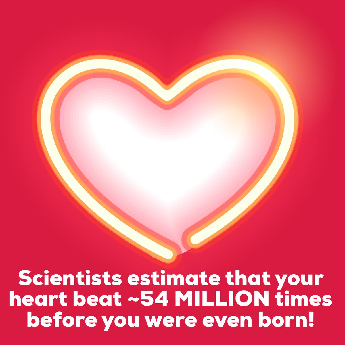 Scientists estimate that your heart beat ~54 MILLION times before you were even born!