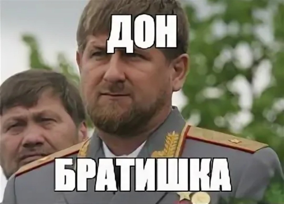 Кадров дон. Рамзан Кадыров Дон. Дон Рамзан Кадыров Мем Дон. Рамзан Кадыров Дон мемы. Кадыров Дон Мем.