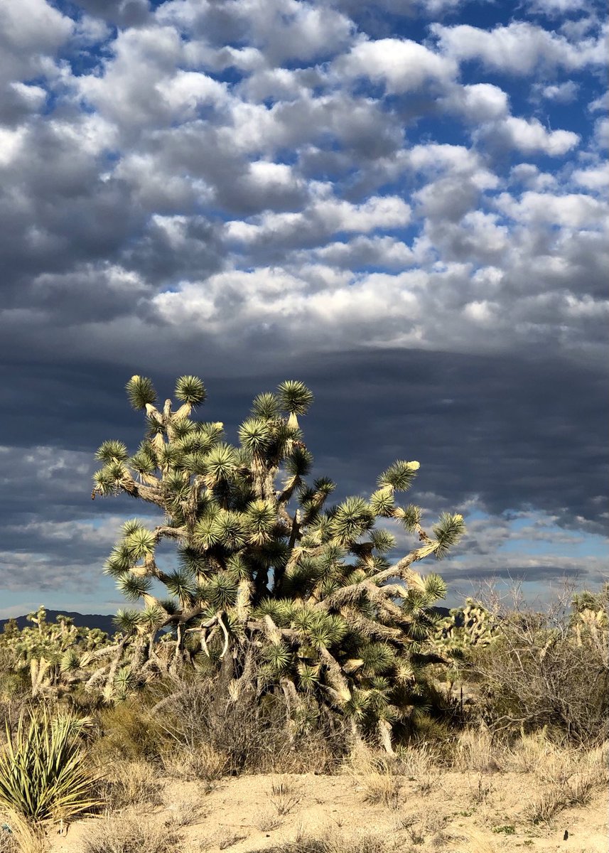 Fr David Reilander tweet media