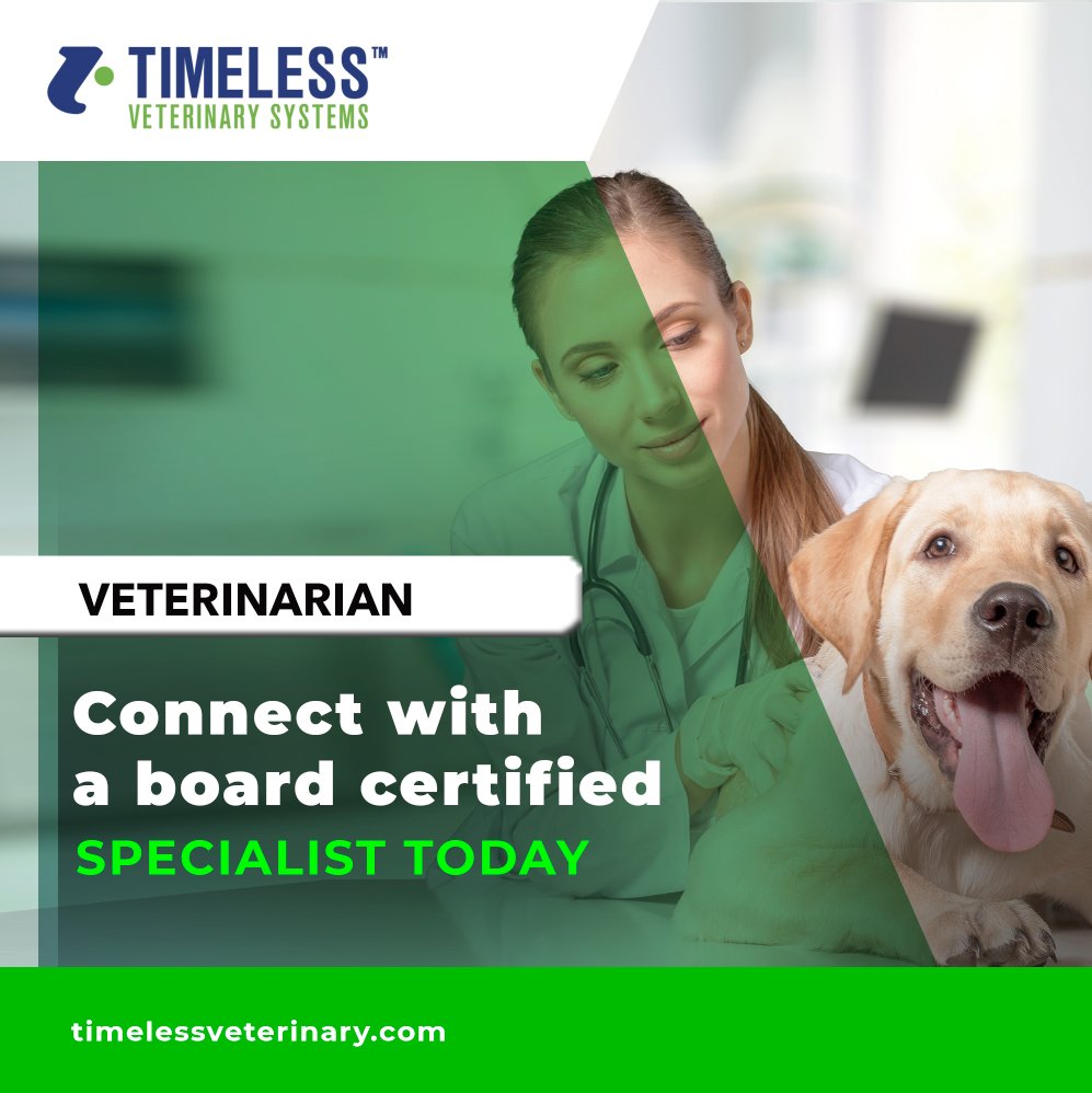 Timeless Veterinary tweet media
