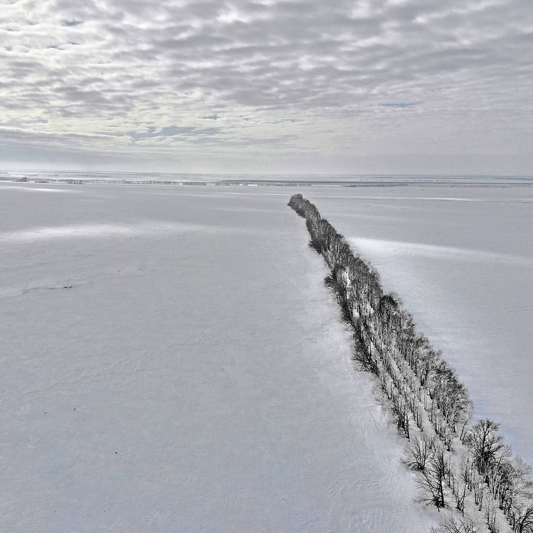 Агро-Информ 63 tweet media