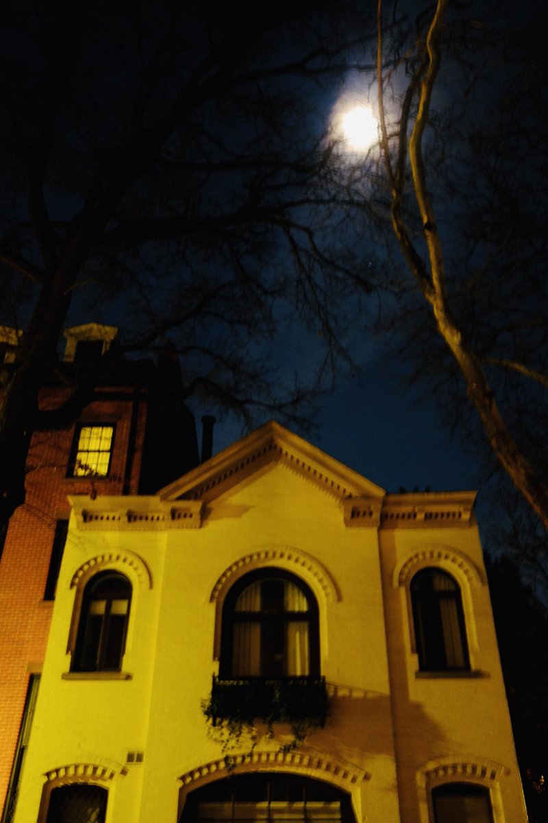 Cosmo’s Moon over Brooklyn