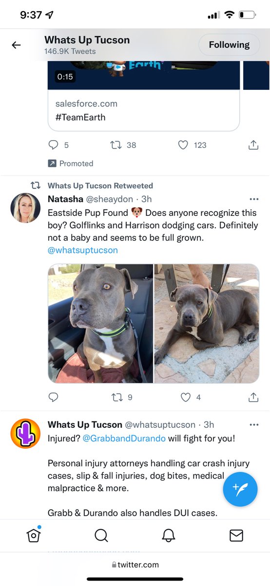 WitchaExploran's tweet photo. @manny_ponce @whatsuptucson Hey manny I think someone found her :) https://t.co/bsqoSp9jeW