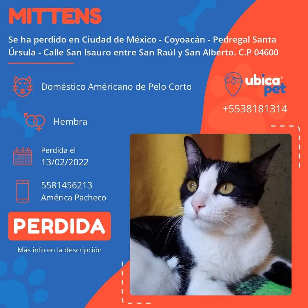 amyju's tweet photo. Ayudenme a difundir por favor 🙌 https://t.co/fyVq5Ik6nO