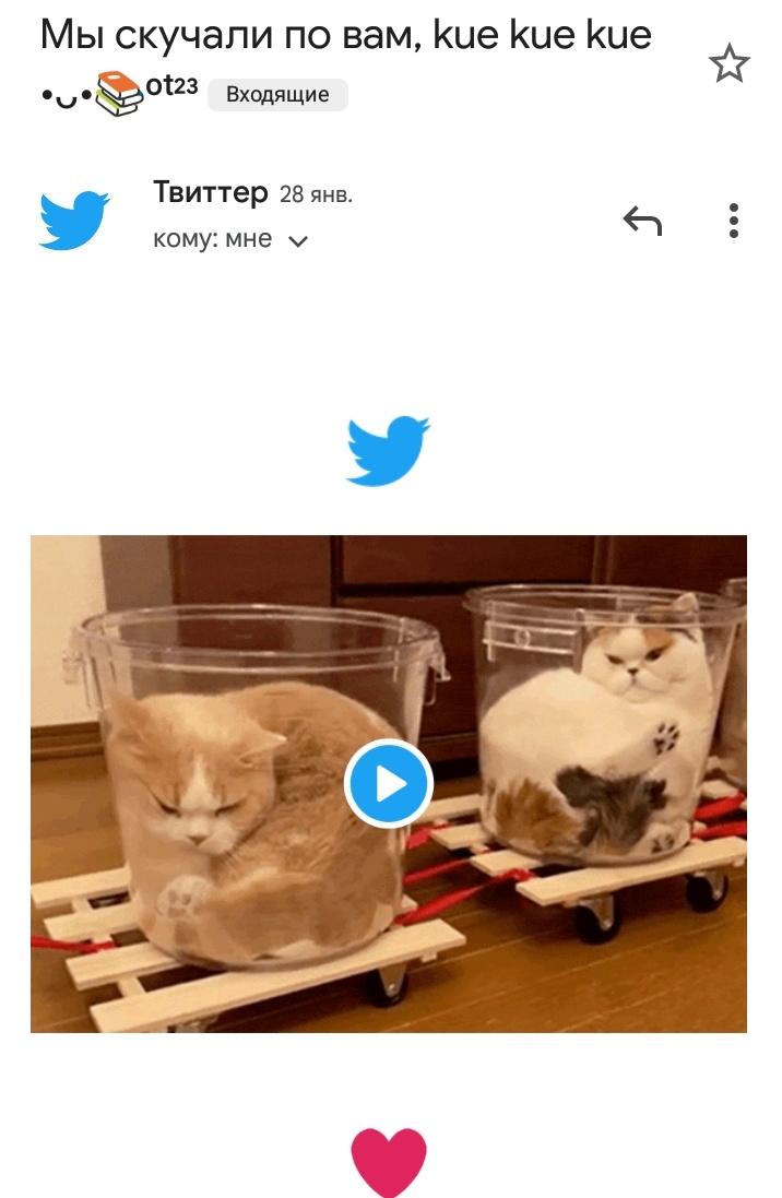 azay090393's tweet photo. Ого, столько всего изменилось)
Несколько новостей
1) неизвестно сколько я здесь буду
2) сейчас начинается пара и мне нужно сосредоточиться
3) я перегорела от нст и от кпопа, поэтому хз, что делать с моей лентой https://t.co/e0Ss9nNZpz