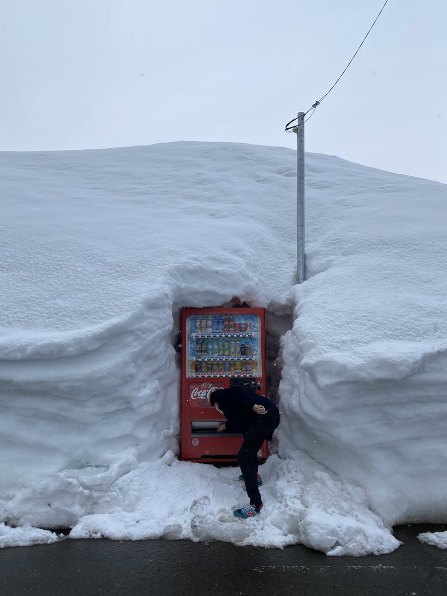 xxdYfDZXSGG1kRO's tweet photo. 長野県飯山市。
綺麗に埋まってるだろ、自動販売機なんだぜ、これ。
冷蔵しなくても冷えそう https://t.co/ruJY7UOprl
