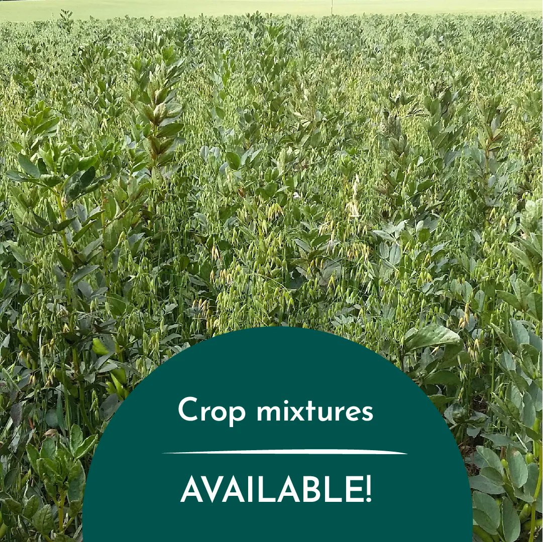 TheRHET's tweet image. Looking to do some planting this year? 🙌

We have crop mixtures available for secondary schools so you can plant and get involved with #STEM #LfS and #DYW!

Get involved here 
➡️ rhet.org.uk/teachers/crop-…