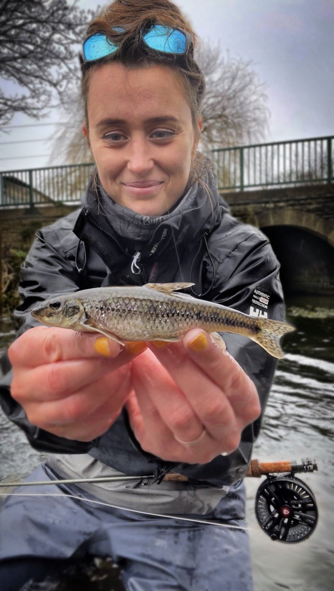 BattamsAmie's tweet photo. Gudgeon!
.
.
.
.
#fishing #gudgeon #flyfishinguk #greysfishing #FINreel #GR80 https://t.co/pPID9o3gam