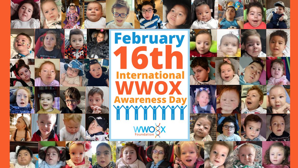 WwoxF's tweet photo. 🧡 DAY 16 🧡
HAPPY INTERNATIONAL WWOX AWARENESS DAY!!

On this day we celebrate the lives of all of the WWOX Warriors around the world and their families and thank everyone involved in their care, education and the research for a cure! 

#wwoxday #wwox #raredisease #epilepsy https://t.co/FDEORpsWqm